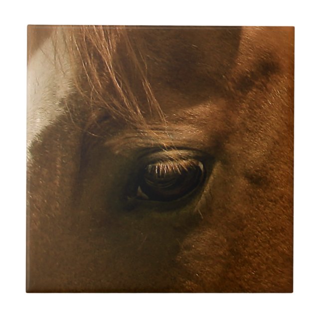 Eye of Horse Ceramic Tile (Front)