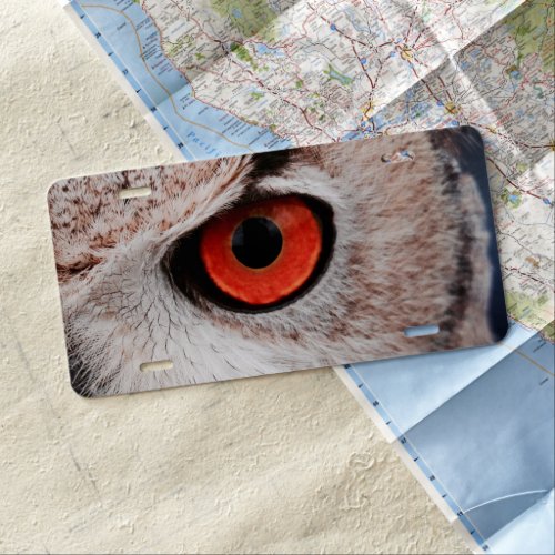 Eye of owl license plate