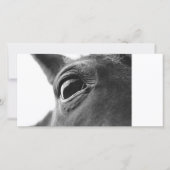 Eye of pony 1 (Front)