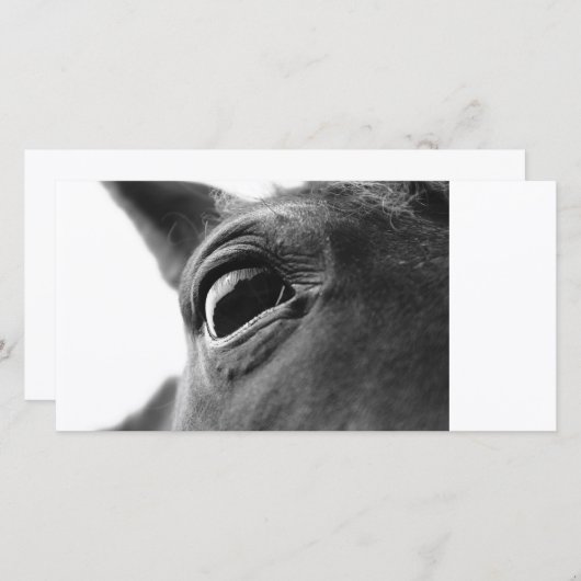 Eye of pony 1 (Front/Back)