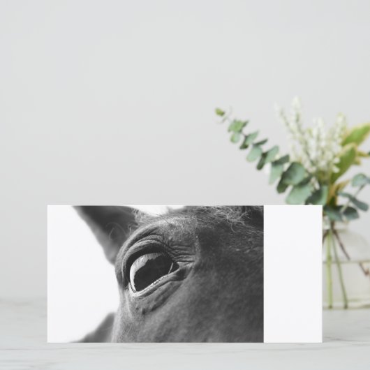 Eye of pony 1 (Standing Front)