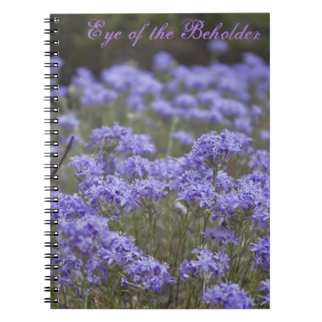 Eye of the Beholder Notebook (Front)