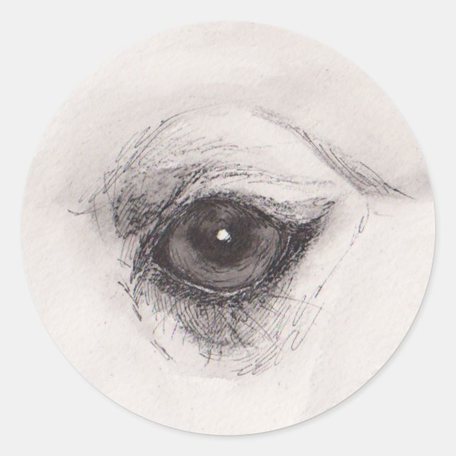 Eye of the Camel – Gaze Collection Classic Round Sticker (Front)