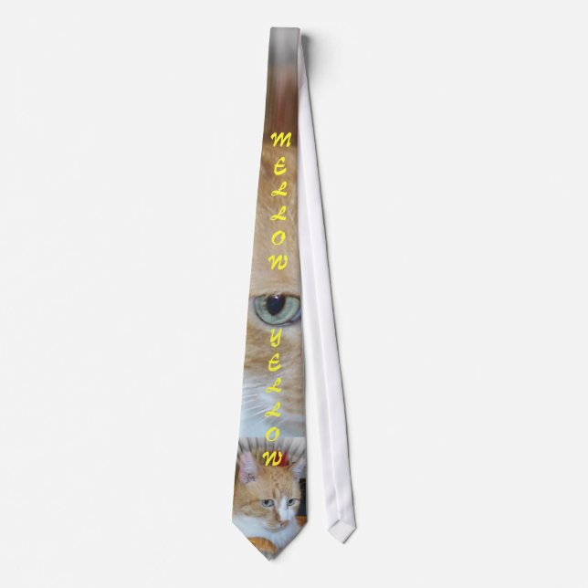 Eye of the Cat Neck Tie (Front)