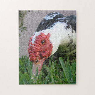 Eye of The Duck Close-Up Photograph Jigsaw Puzzle