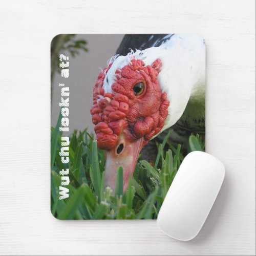 Eye of the Duck Close_Up Photograph Mouse Pad