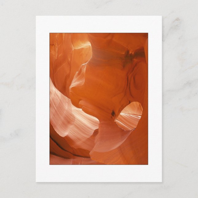 "Eye Of The Eagle" Postcard (Front)