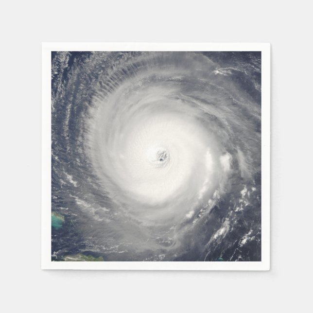 Eye of the Hurricane Napkins (Front)