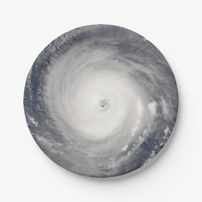 Eye of the Hurricane Paper Plates (Front)