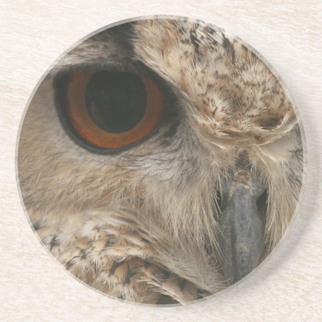 Eye of the Owl Drink Coaster (Front)