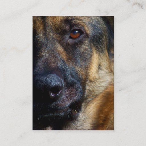 Customizable Eye of the Shepherd Business Cards