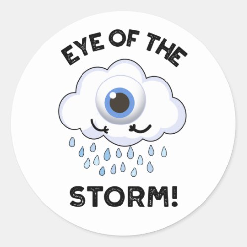 Eye Of The Storm Funny Weather Pun  Classic Round Sticker