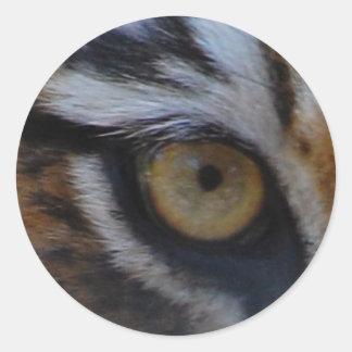 Eye of the tiger classic round sticker