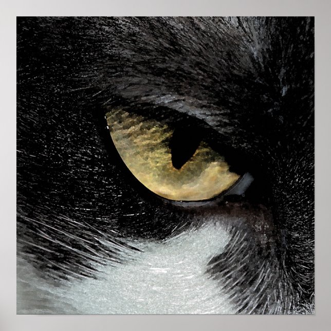 Eye of the Tiger Poster (Front)