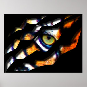 Eye Of The Tiger Tear Through Poster