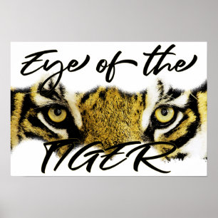 Eye of the tiger, tiger, motivational, inspiration poster