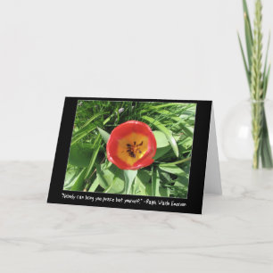 Eye of the Tulip Card