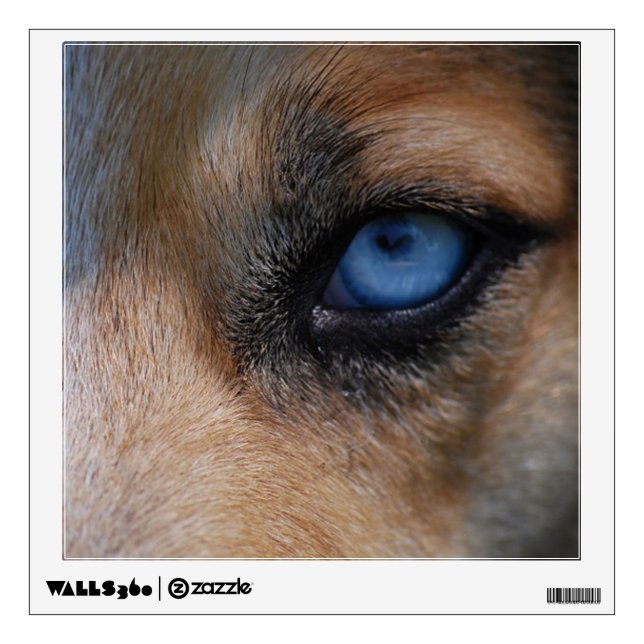 Eye of the Wolf Wall Sticker (Front)