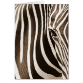 Eye of the Zebra (Front)