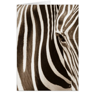 Eye of the Zebra Cards