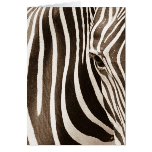 Eye of the Zebra Cards (Front)