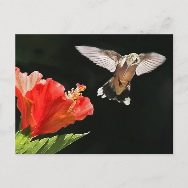 Eye On the Prize Postcard (Front)