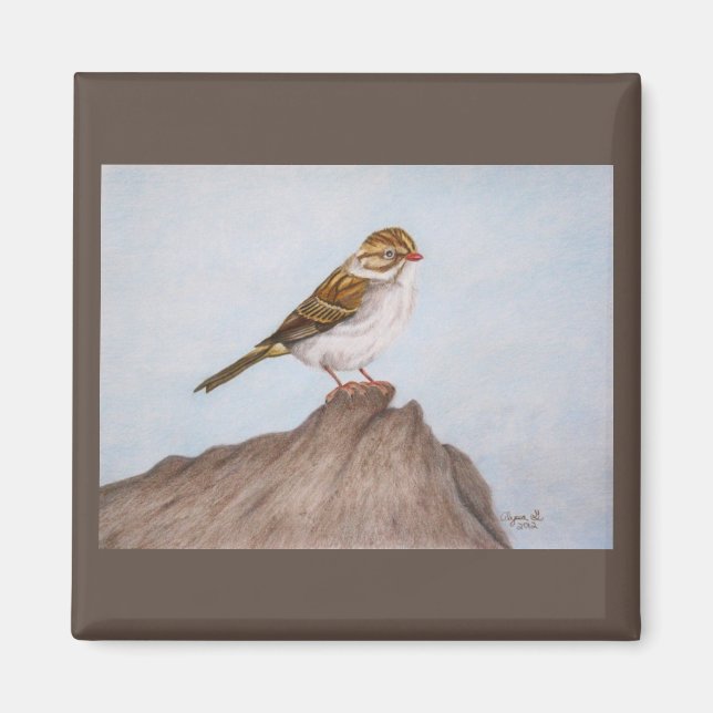 Eye on the Sparrow Magnet (Front)