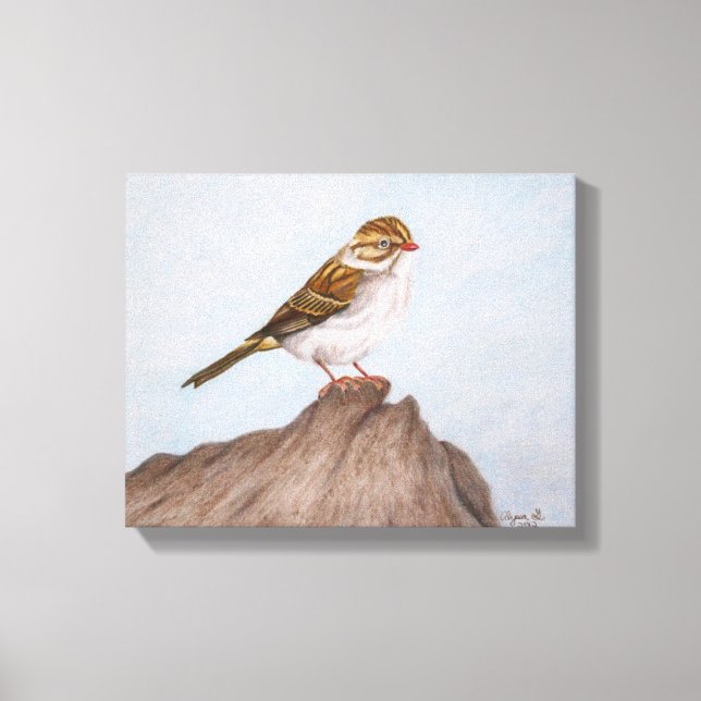 Eye on the Sparrow Wrapped Canvas Print (Front)