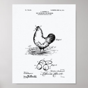 Eye Protector Chickens 1903 Patent Art White Paper Poster