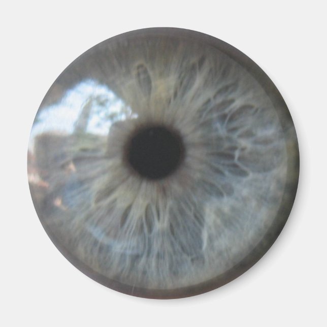 Eye See You Fridge Magnet (Front)