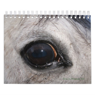 Eye Spy Photo Calendar