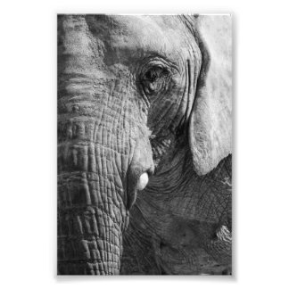 Eye Spy Photo Print