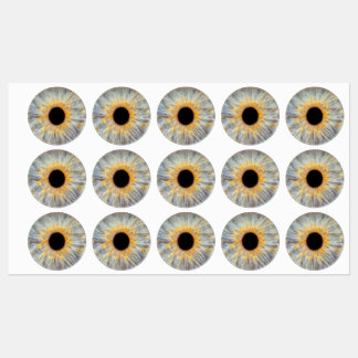 Eye Stickers