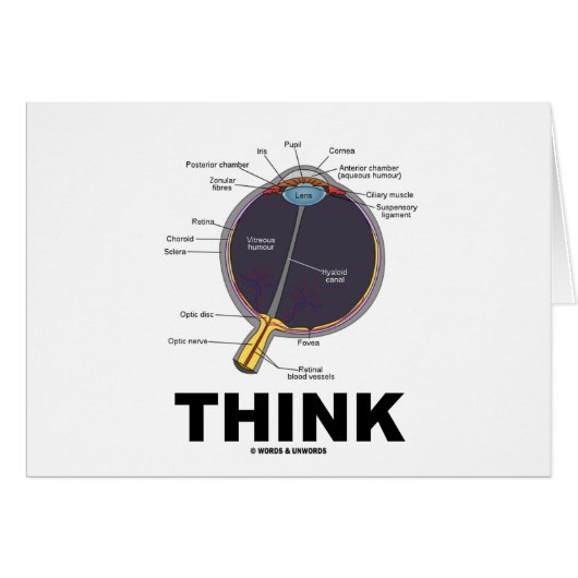 (Eye) Think (Anatomical Humor) (Front Horizontal)