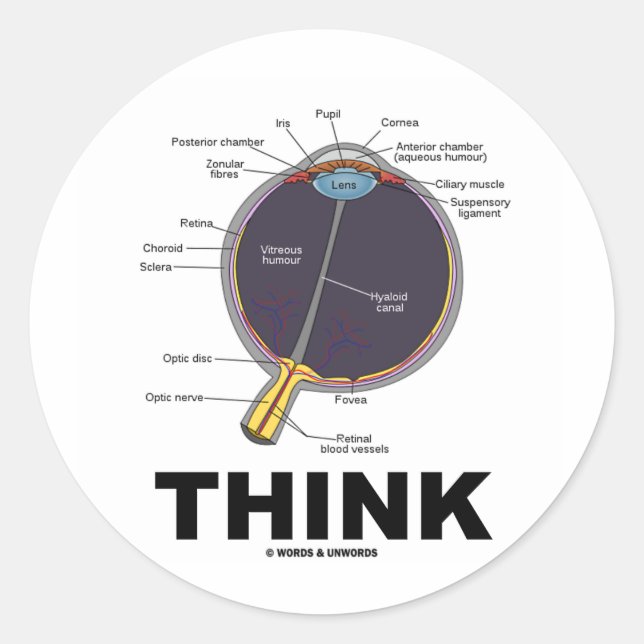 Eye Think (I Think Anatomical Eye Humor) Classic Round Sticker (Front)