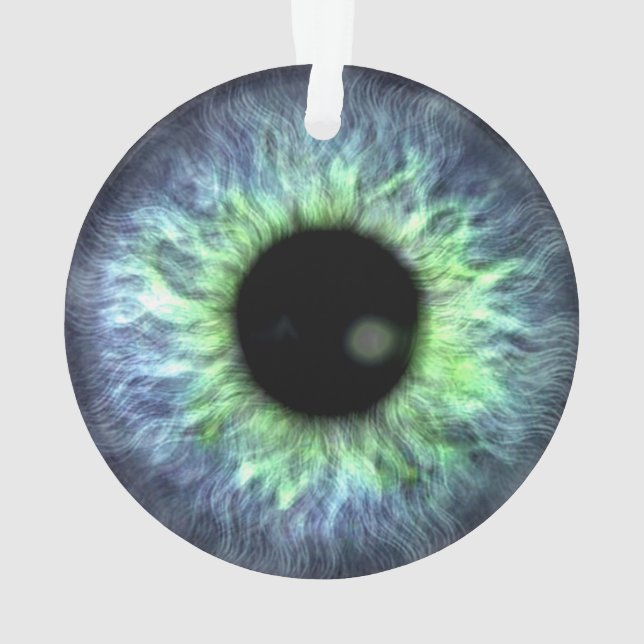 Eyeball Blue Green Gift Pretty Ornament (Back)