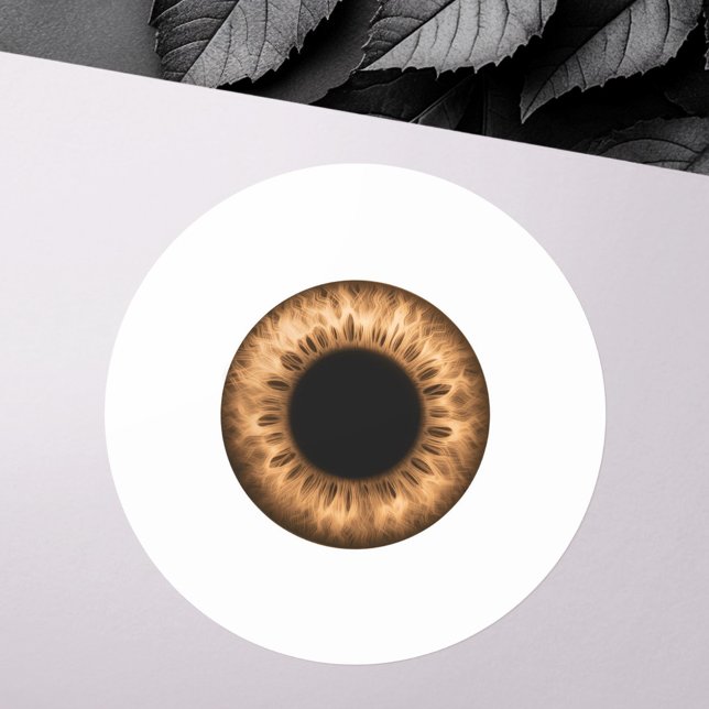Eyeball brown iris eye funny prank joke novelty classic round sticker (Eyeball brown iris eye funny prank joke novelty classic round sticker)