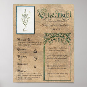 Eyebright Herbal Book of Shadows Pagan Wiccan Poster