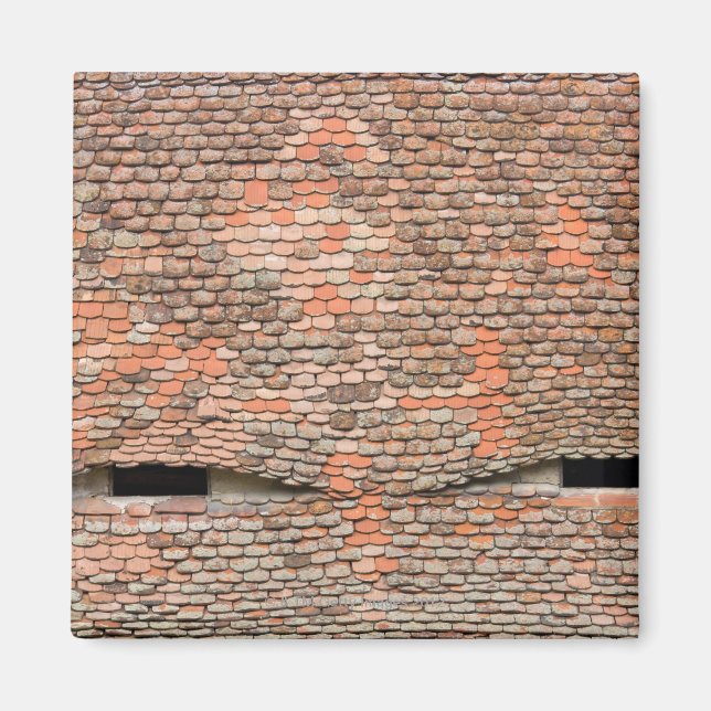 Eyelike dormer windows in a tiled roof magnet (Front)