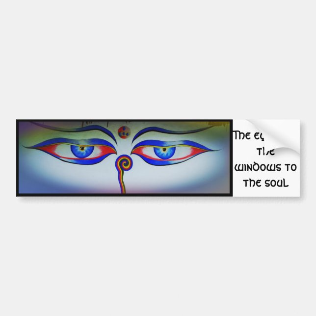 Eyes are the windows to the soul bumper sticker (Front)