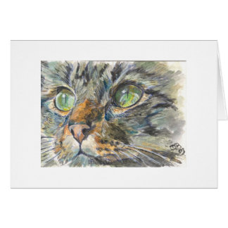Eyes Cards
