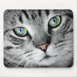 Eyes cat mouse pad