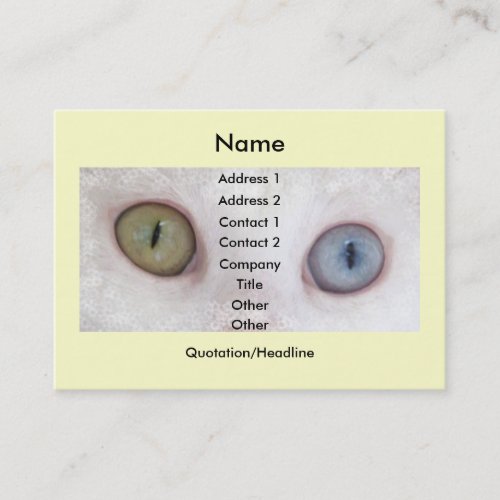 Eyes for You Business Card