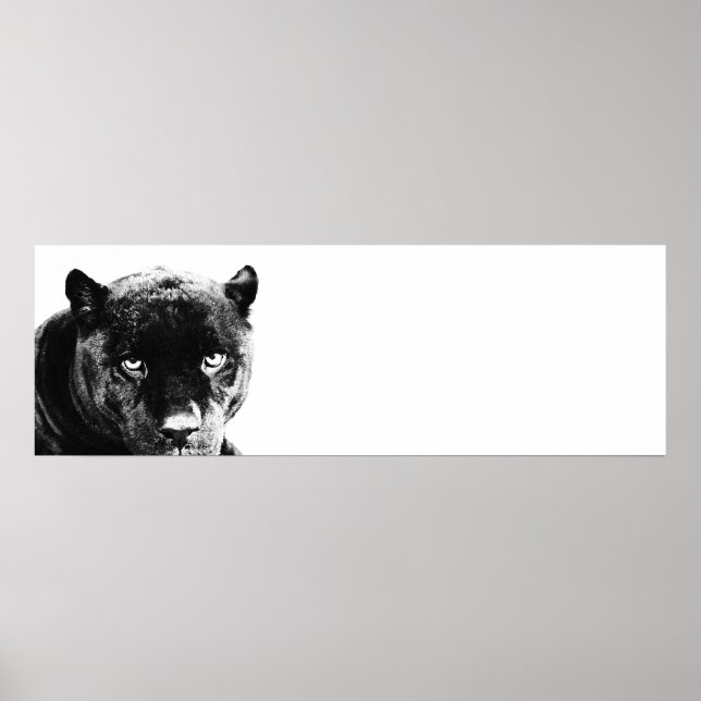 Eyes Jaguar Pop Art Poster (Front)