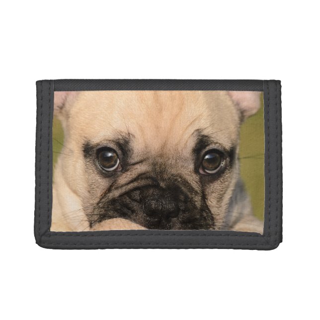 Eyes of a Cute French Bulldog Puppy, Purse Tri-fold Wallet (Front)