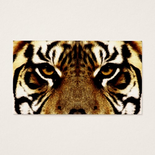 Eyes of a Tiger Business Card Templates
