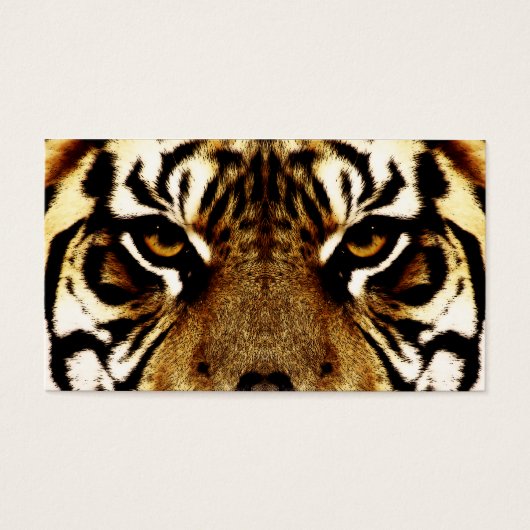 Eyes of a Tiger (Front)