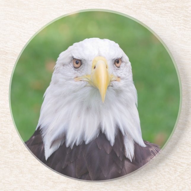 Eyes of an Eagle Drink Coaster (Front)