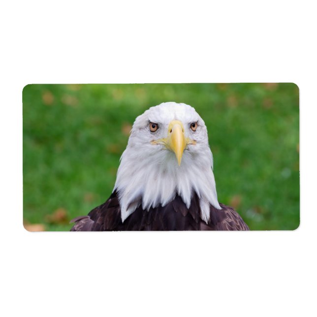 Eyes of an Eagle Label (Front)