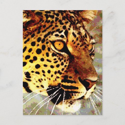 Eyes of Leopard Postcard